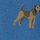 open page with product: Woven Dog Print Boxers - Cobalt Blue