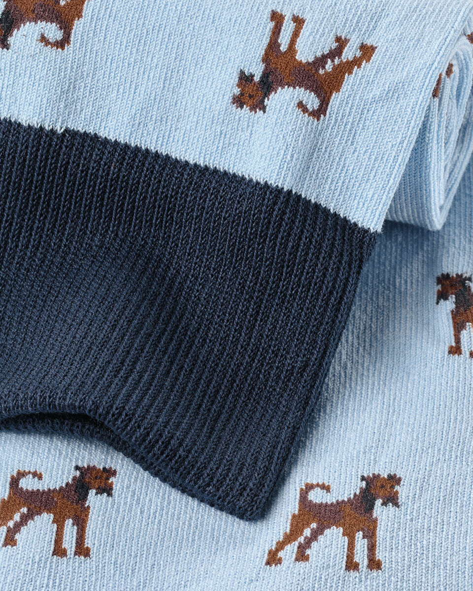 Dog Novelty Socks - Sky Blue