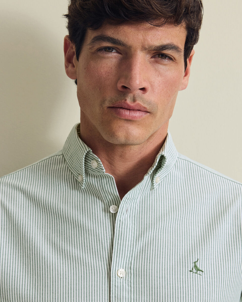 Button-Down Stretch Washed Stripe Oxford Shirt - Green