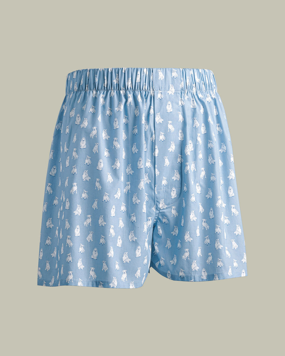 Dog Print Woven Boxers - Light Blue