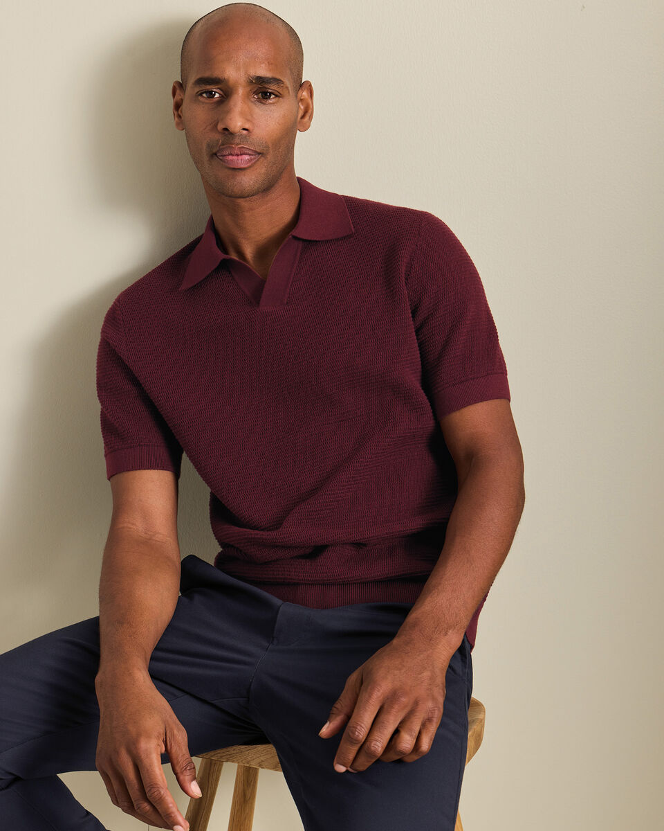 Cotton Texture Trophy Neck Knitted Polo - Burgundy