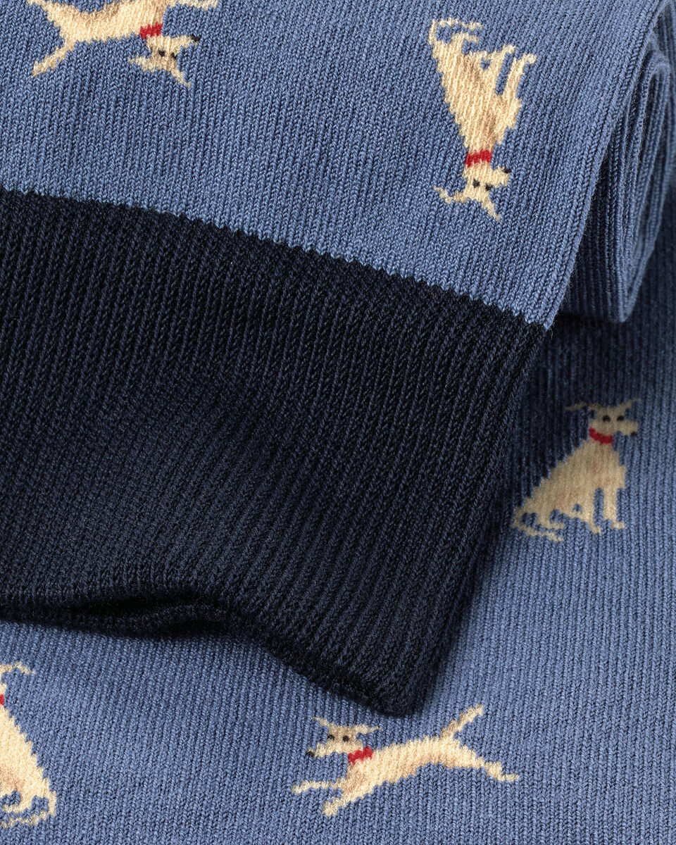 Dog Novelty Socks - Steel Blue