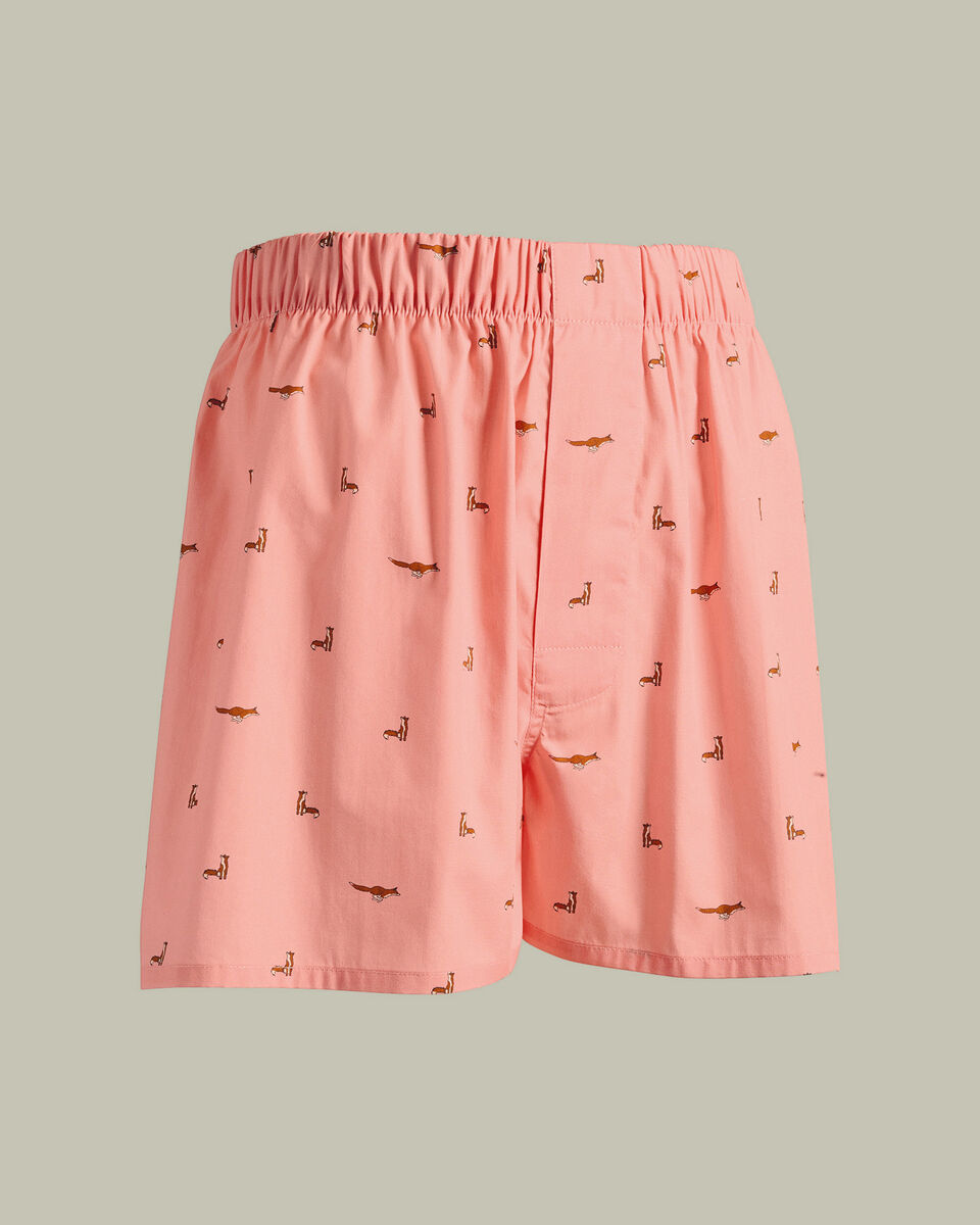 The product image is missing!