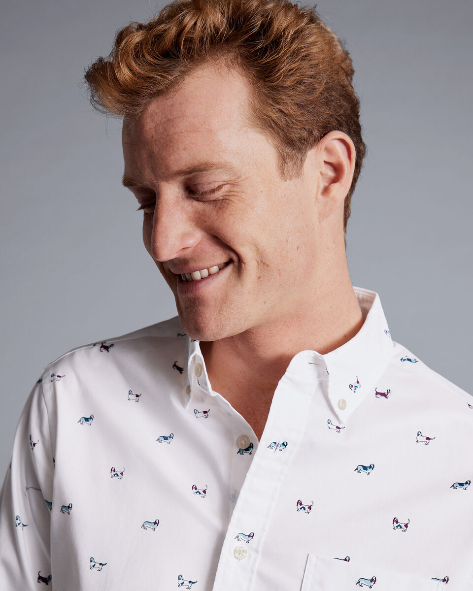 ButtonDown Collar NonIron Hound Print Shirt Multi Charles Tyrwhitt