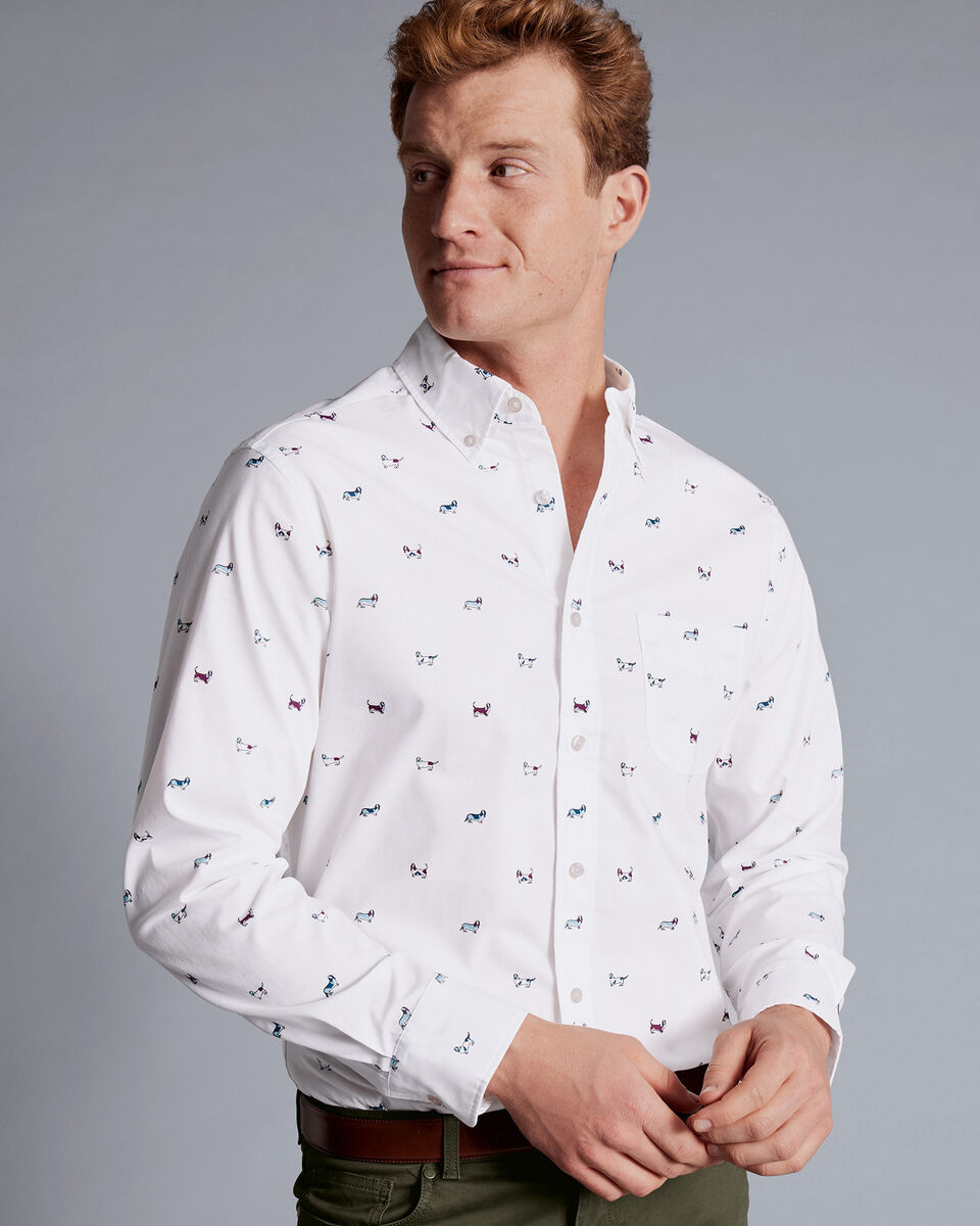 ButtonDown Collar NonIron Hound Print Shirt Multi Charles Tyrwhitt