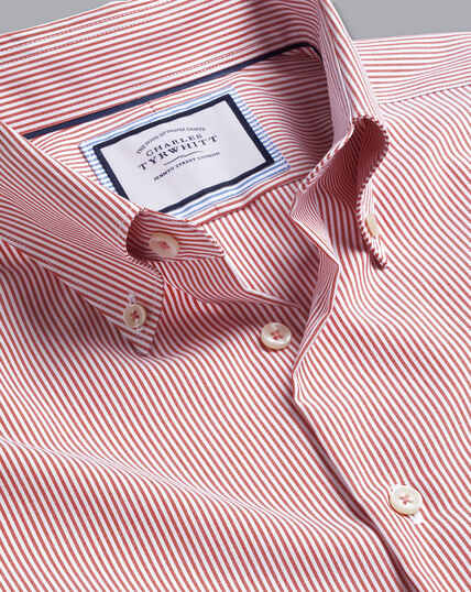 Button-Down Collar Non-Iron Stripe Shirt - Coral Pink