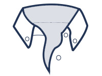 Button-down collar illustration