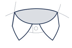 Classic collar illustration