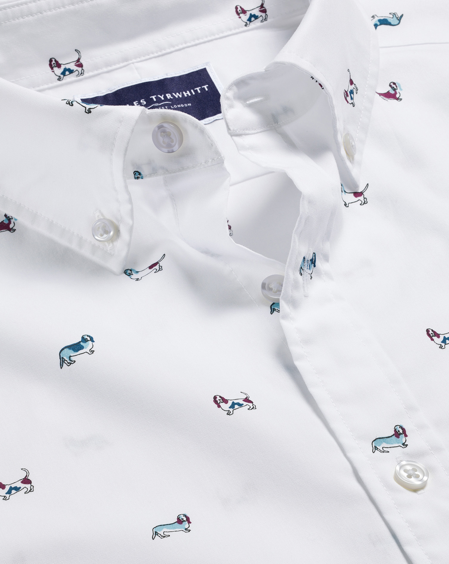 Charles Tyrwhitt Men's  Button-down Collar Non-iron Hound Print Casual Shirt Size Medium Cotton In Multi